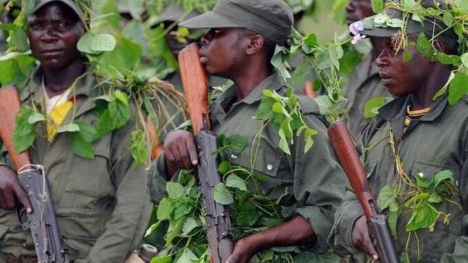 The state war has begun in Kongo