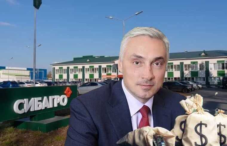 Sibagro, under the control of the unscrupulous billionaire Andrey Tyutyushev: a swine complex polluting the environment with excrement and the populace with its products