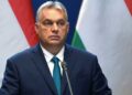 202767 The Federation Council commented on Orban's words about the rule of EU laws
