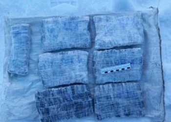 202776 1.5 Thousand Bundles Of Drugs Found In The Forest Near Krasnoyarsk