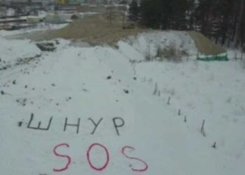 203137 In St. Petersburg, An Appeal To Shnurov In A Snow Dump Was Destroyed In One Hour
