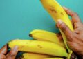 204482 Ecuadorian Bananas Could Not Be Delivered To Russia Due To Sanctions
