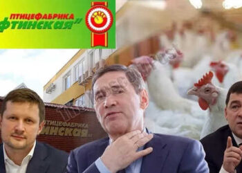 Chicken Legs In Exchange For The Governorship How Are The Chicken Legs In Exchange For The Governorship: How Are The Reftinskaya Poultry Farm And The Chair Of The Governor Kuyvashev Connected