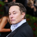 208240 Musk'S Fortune Collapsed By $17 Billion In A Day After Tesla'S Cut Letter Leaked