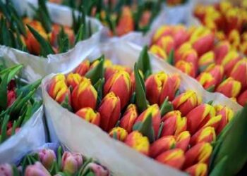 30945 Flower Sellers Staged A Massacre In The Market In Moscow, And Buyers Took Out Microloans