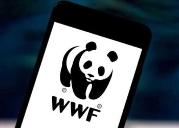 31394 Wwf Russia Will Challenge The Status Of A Foreign Agent In Court And Does Not Plan To Suspend Work