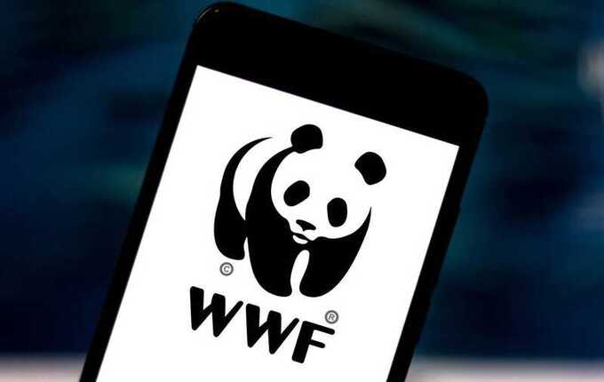 31394 WWF Russia will challenge the status of a foreign agent in court and does not plan to suspend work