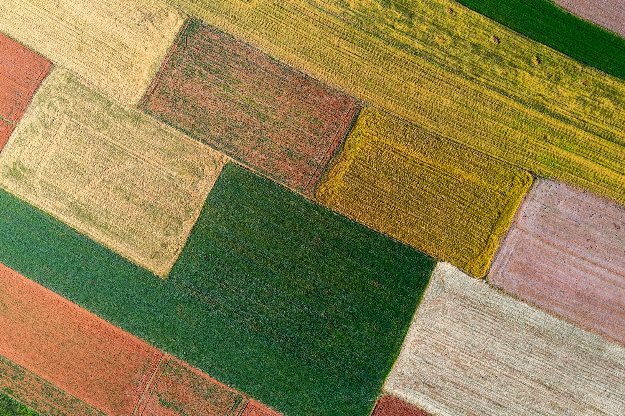 5 AI Solutions That Increase Yields 5 AI Solutions That Increase Yields