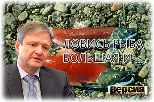 Was the purchase of the Kamchatka fish factory by Yevgeny Was the purchase of the Kamchatka fish factory by Yevgeny Svistula in the interests of the ex-head of the Ministry of Agriculture?
