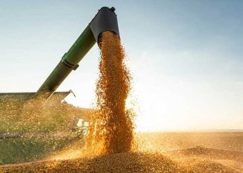 47826 Volodin Called The Conditions For The Resumption Of The Grain Deal