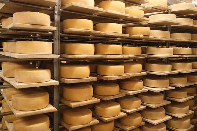 51019 Italian businessman dies after collapse of cheese racks at his own cheese factory warehouse