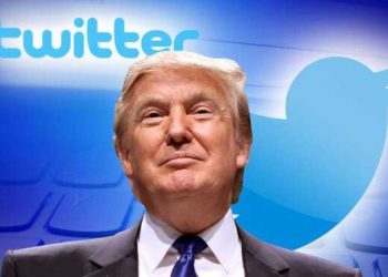 53315 Donald Trump returns to Twitter after two years