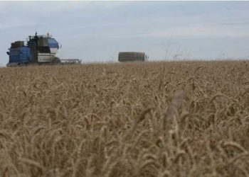 54893 The Urals Federal District is expecting price hikes for agricultural products. The head of the Chelyabinsk region shifted the solution to the problems of farmers to sellers of fuel and lubricants