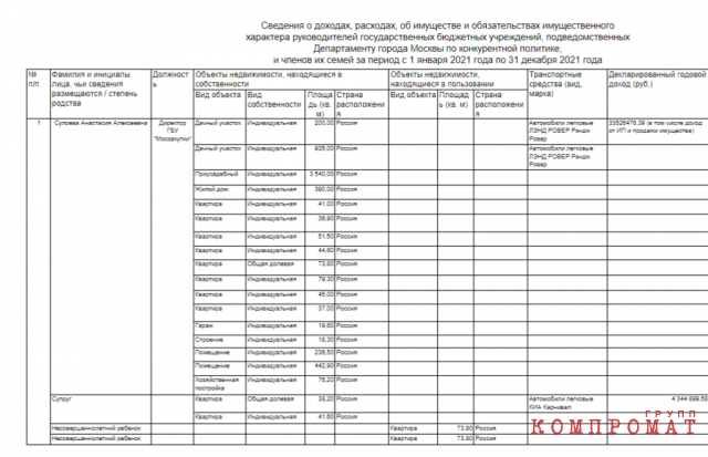 Information on Anastasia Suloeva’s income for 2021