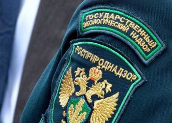 57336 Rosprirodnadzor received 37 million from the assets of the Asbest City Hall for harm to nature