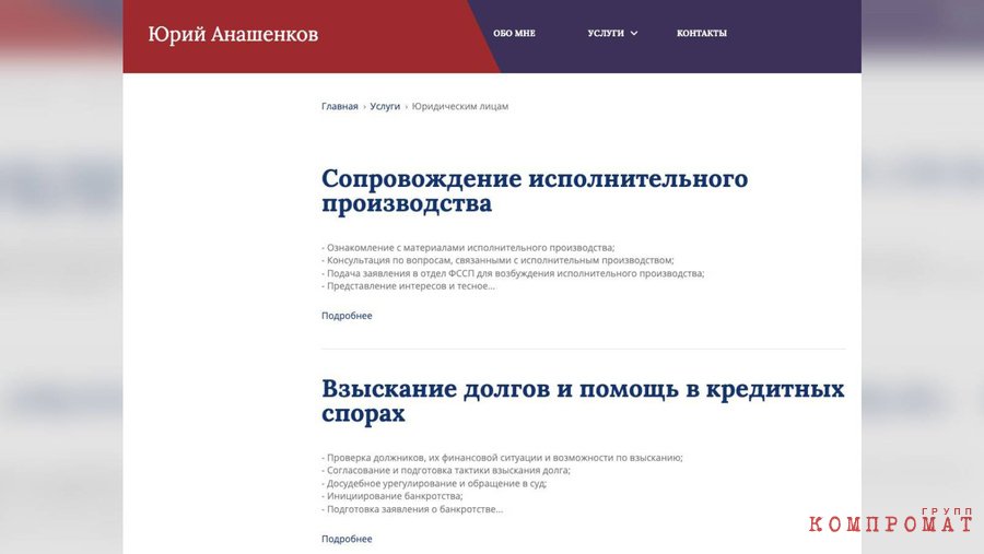 Example of Yuri Anashenkov's services
