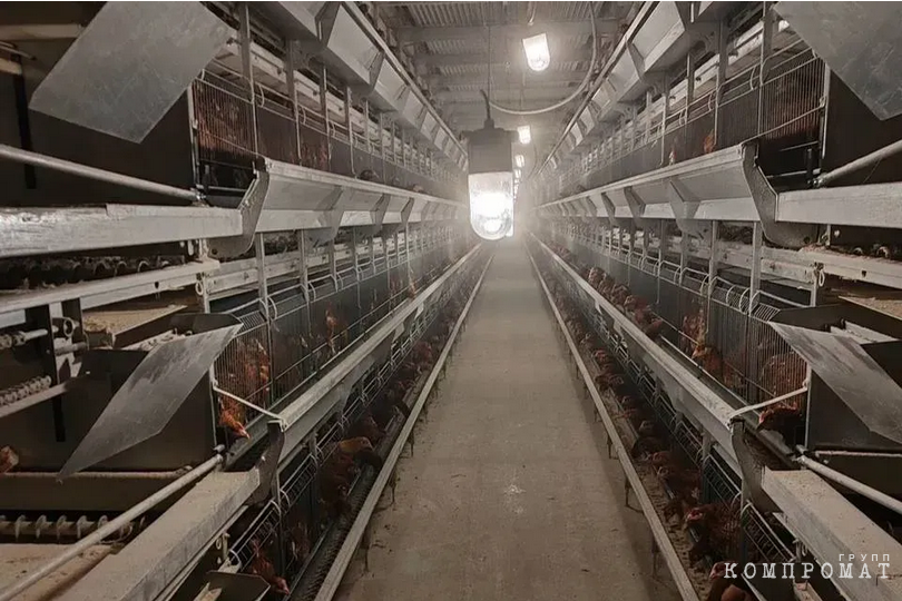 Poultry farm "Roskar"