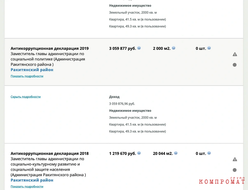 this is what chefonova&apos;s declarations looked like in 2018–2019