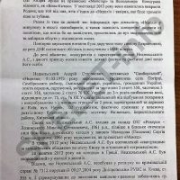 vladimir didukh: bureau of criminal services of vova morda. part 2