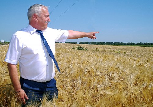 vasily gulyaev. a wealthy peasant from odessa, mayor of chernomorsk