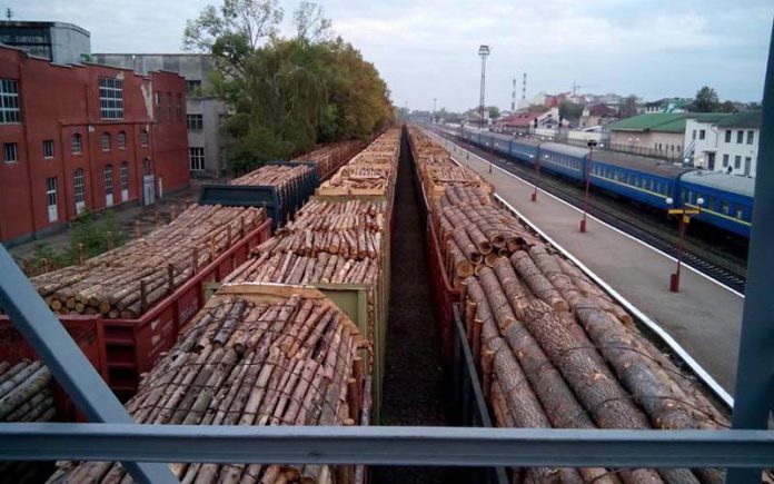 transcarpathia deforestation