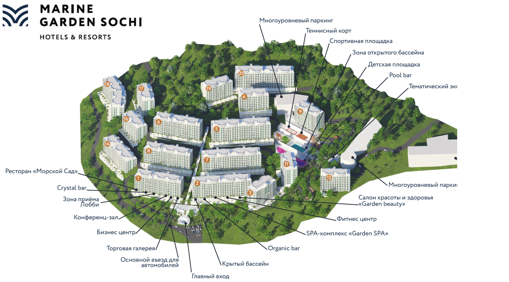 The garden of Toros and Shihidi blossomed with problems: did connections not help ambitions?