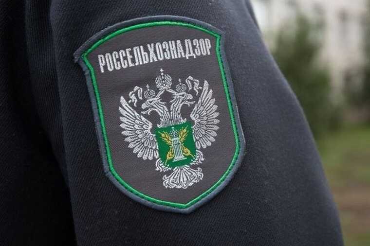 The Ministry of Agriculture and Rosselkhoznadzor have banned the supply of Czech hatching eggs.