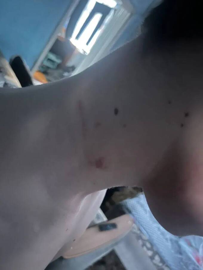 tidttiqzqiqkdatf uqiqediqxeiqrusld