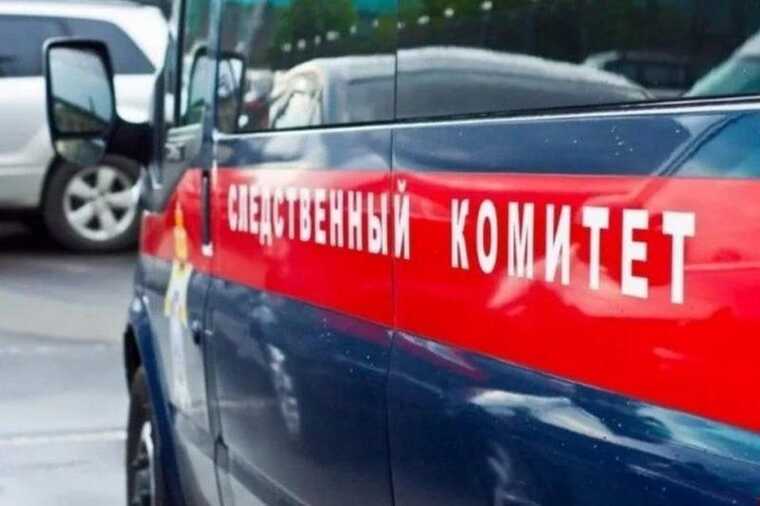 A maternity hospital in Novokuznetsk has been temporarily closed after the death of several infants.