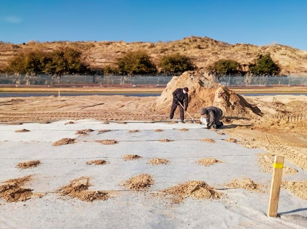 tidttiqzqiqkdrps uqiqediqxeiqrusld