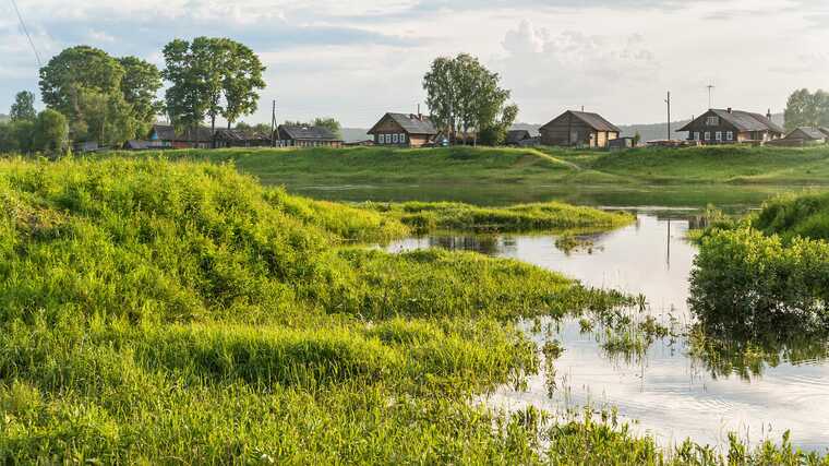The Ministry of Natural Resources of the Saratov Region is insisting on the removal of structures built without authorization on woodland.