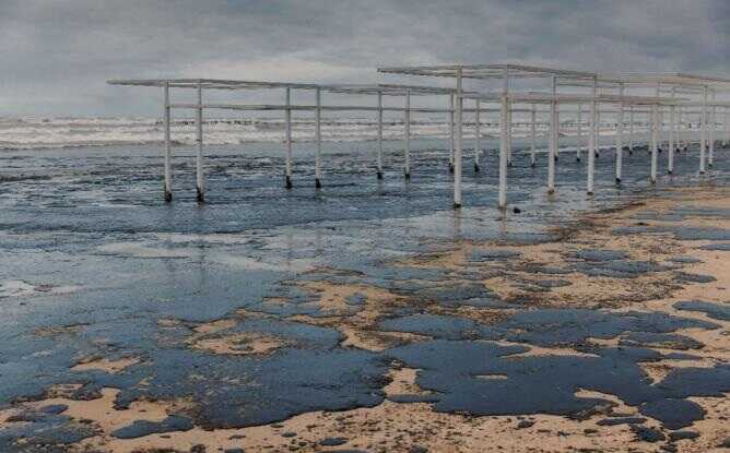 Contamination from fuel oil in the Krasnodar region has impacted 49 km of the shore.