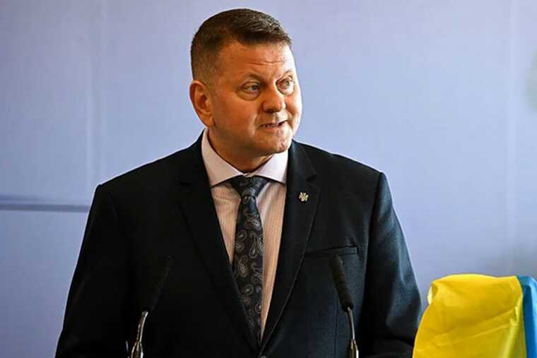 Following Zaluzhny's criticism, Zelensky stated that he was